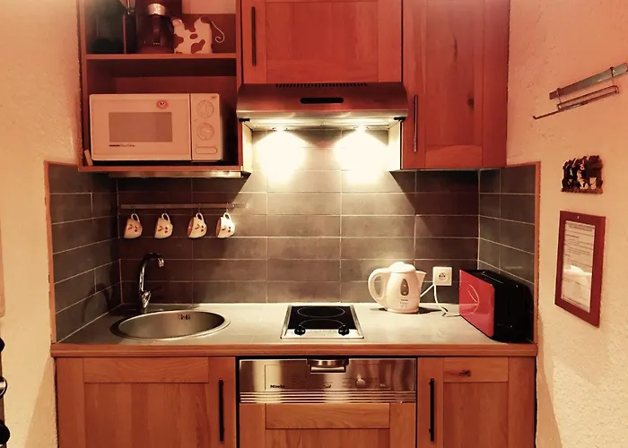 Eperon 2 - E04 - Lumineux - 4 Pers * Les Deux Alpes